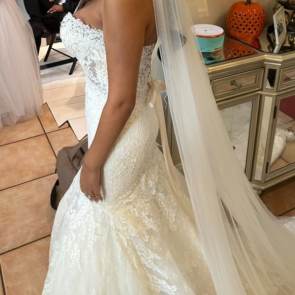 Pronovias Imelda Wedding Gown - Picture 13 of 16